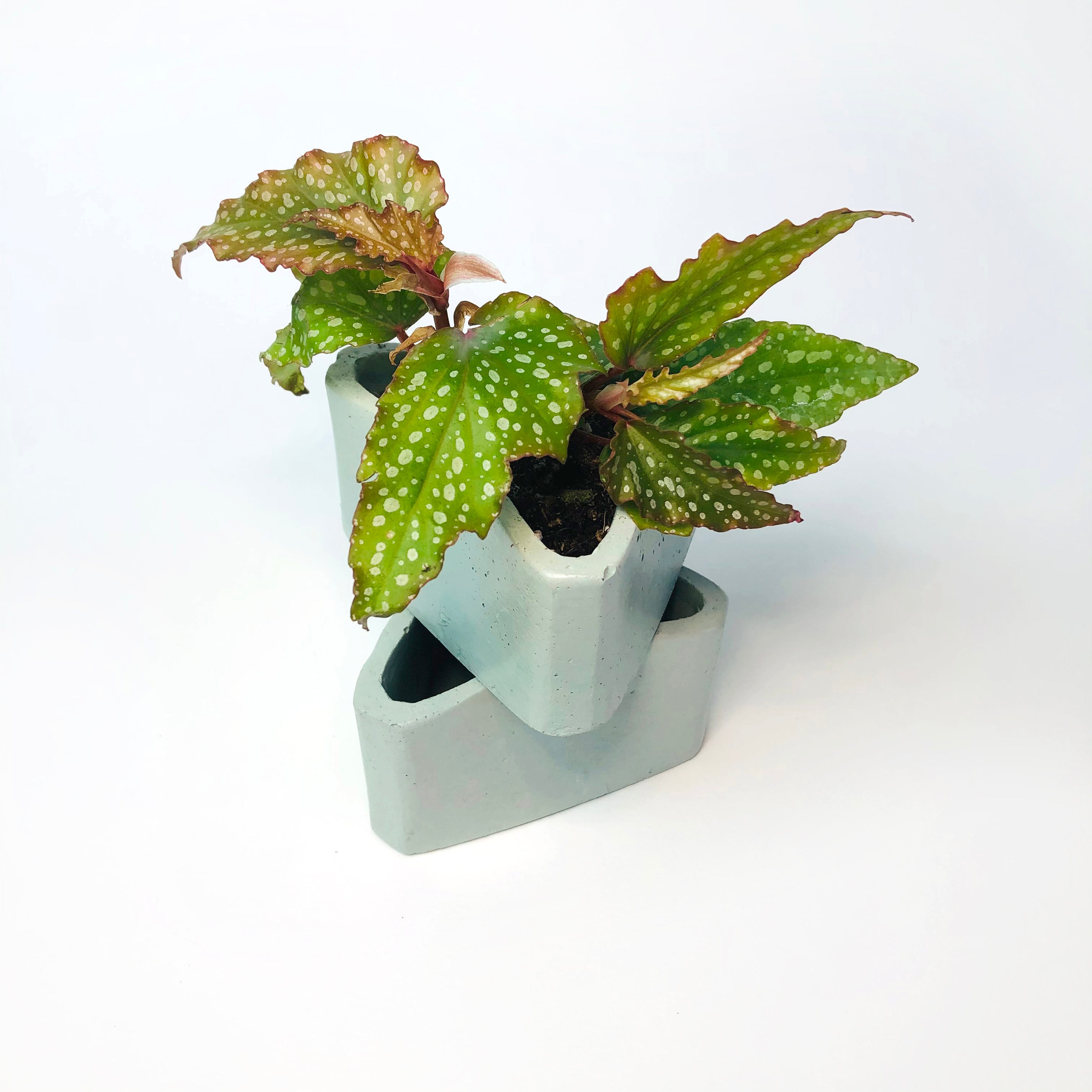 Small Triangle Planter - Mint